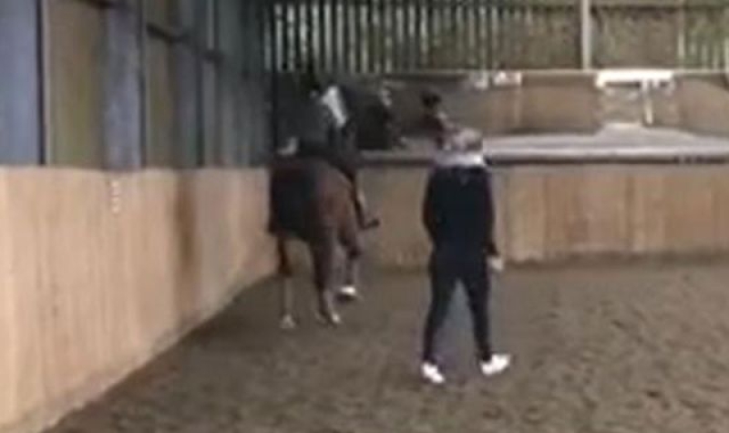 Charlotte Dujardin: Video shows British Olympian whipping horse in training session