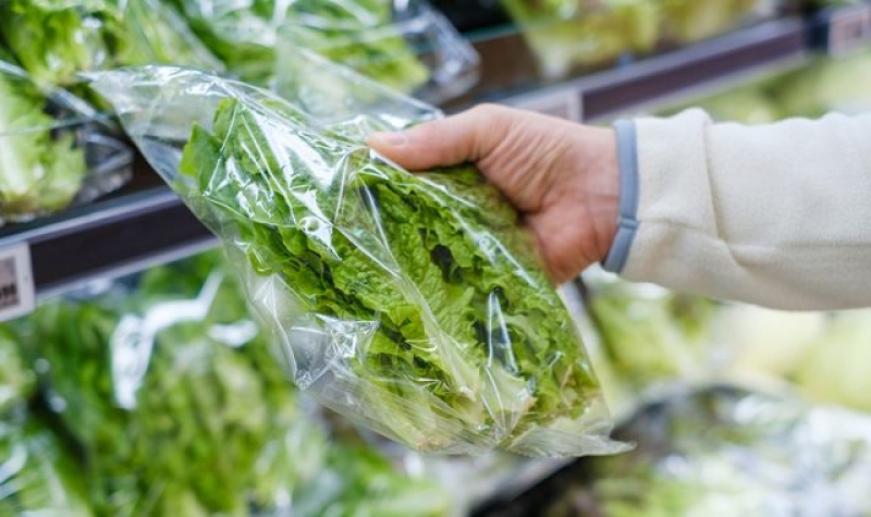 E-coli: Lettuce believed to be source of outbreak - so how safe is it to eat food item? And does washing reduce risk?