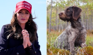 Donald Trump&#039;s potential running mate Kristi Noem continues to defend shooting dead &#039;extremely dangerous&#039; puppy