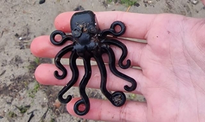 Boy, 13, finds &#039;holy grail&#039; Lego octopus piece from sea spillage in 1997