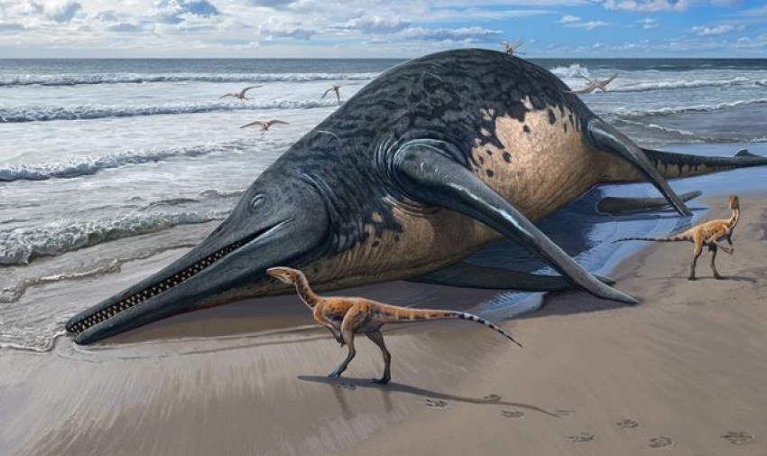 British father and daughter discover bone of what may be largest known marine reptile