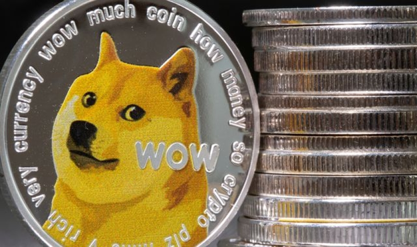 Kabosu dies: Shiba inu which inspired the 'doge' meme and became face ...